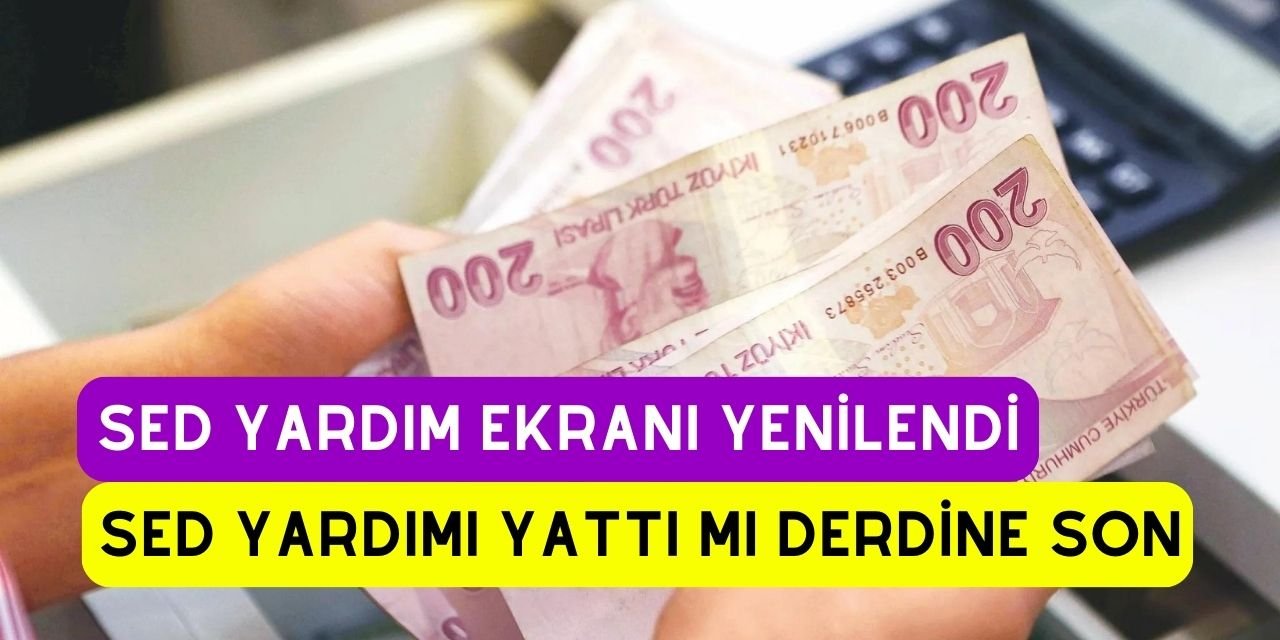 SED yardımı ev devlet sorgulama ekranı güncellendi, SED yardımı yattı mı, SED ödeme bilgisi görüntüleme aracına giriş