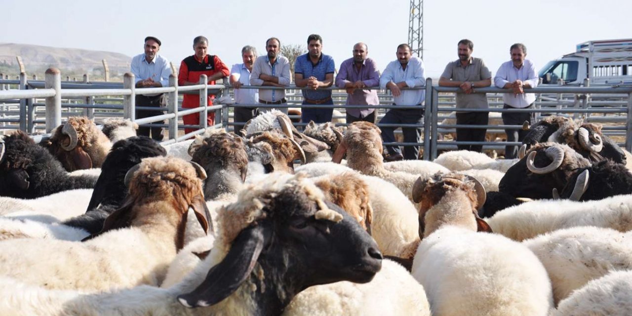 Kurban tedbirleri açıklandı! İşte ödenecek para cezaları!