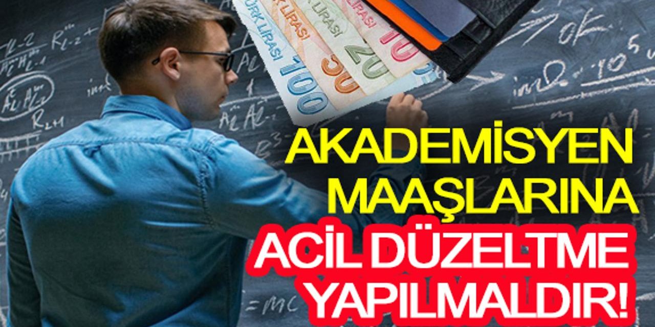 Akademisyen Maaşlarında Son Durum Ne! Acil Bir Düzeltme İsteniyor