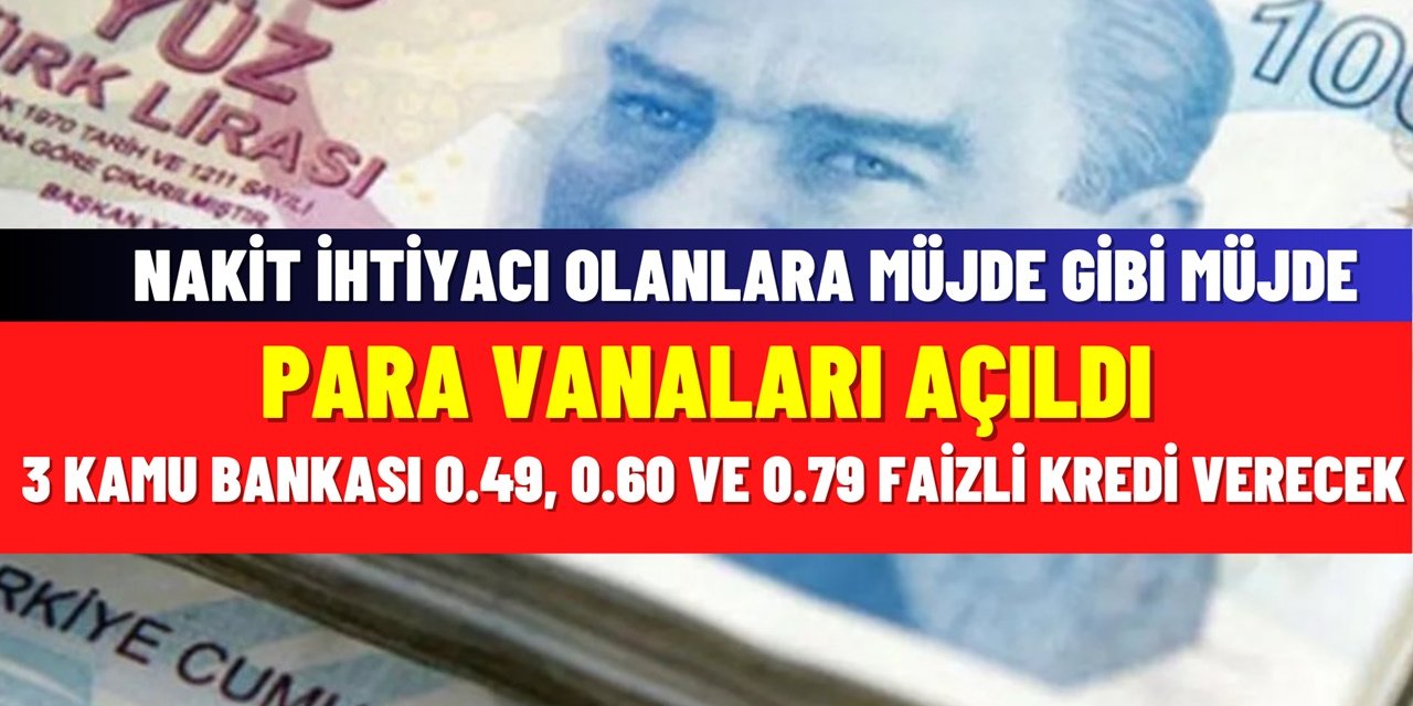 3 Kamu Bankasından Yok Artık Dedirtecek Kampanya! Kredi Notu Düşük Olan Bile Alabilecek